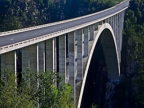 bungee