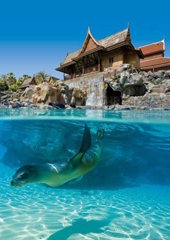 Siam park Siam park