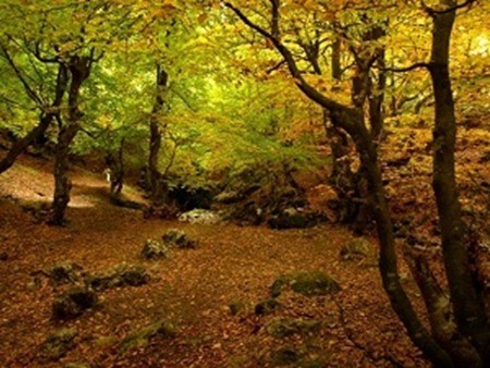 Cudillero|un pueblo pesquero maravilloso en Asturias